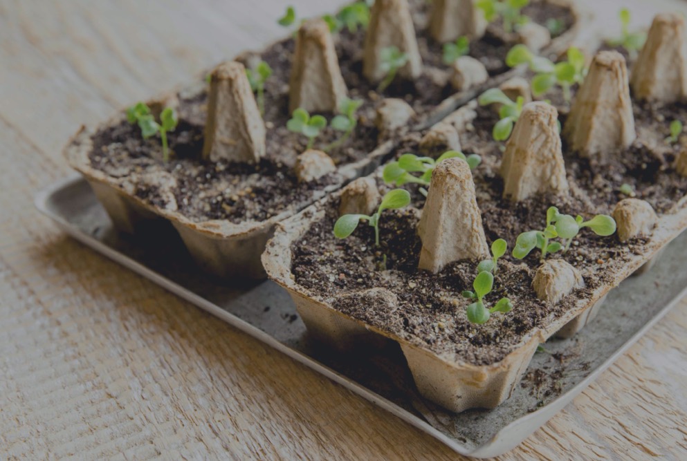 Clever Ways To Reuse UnRecyclable Packaging/Products WastePlace Blog